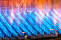 Muscott gas fired boilers