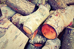 Muscott wood burning boiler costs